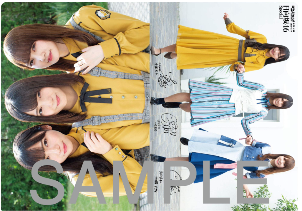 日経エンタテインメント! 日向坂46 Special <クリアファイル2枚付き> (日経BPムック)