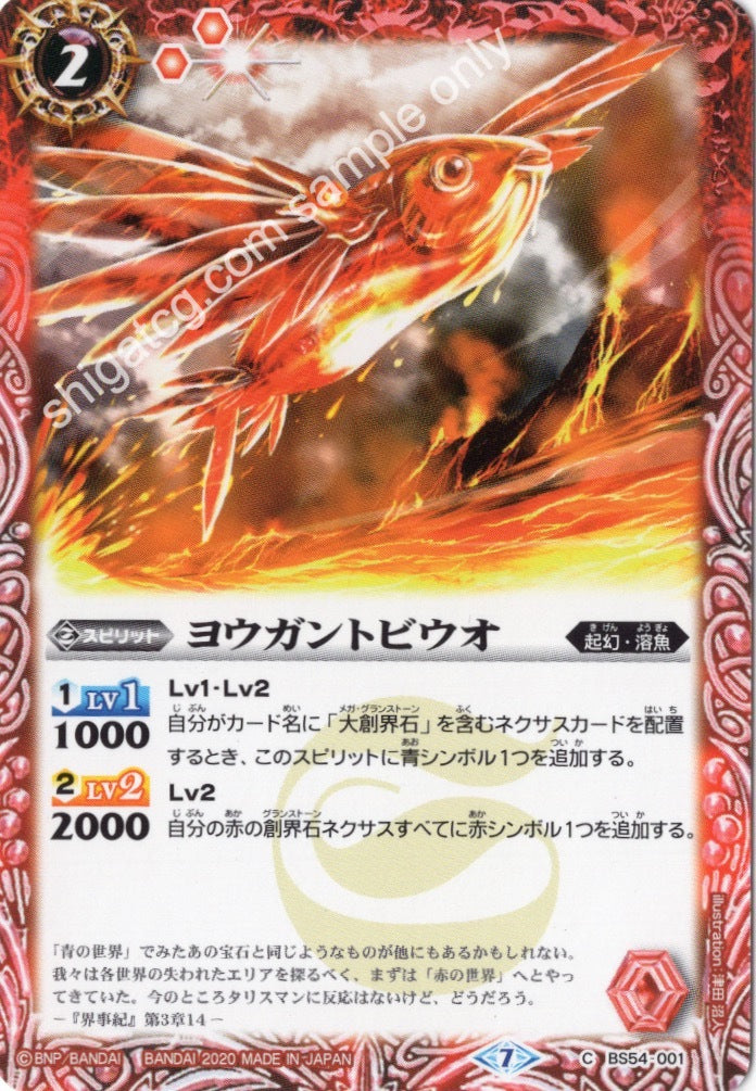 BS54 C001 ヨウガントビウオ