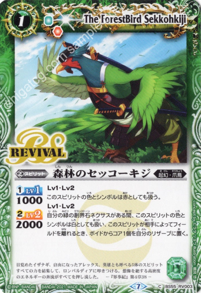 BS55 C RV003 森林のセッコーキジ