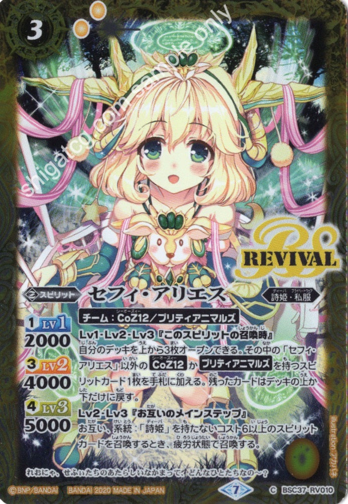 BSC37 RVC010 セフィ・アリエス