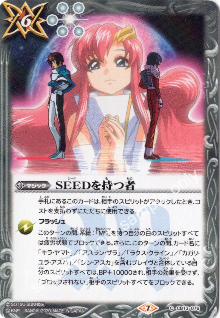 BS CB13 C076 SEEDを持つ者