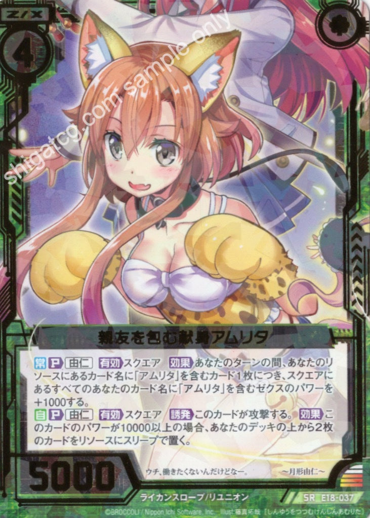 E18 SR037 親友を包む献身アムリタ