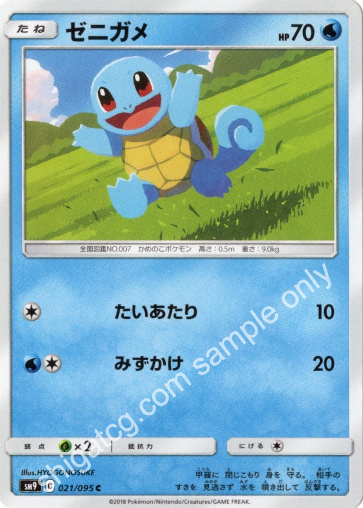 Sm9 C021 ゼニガメ