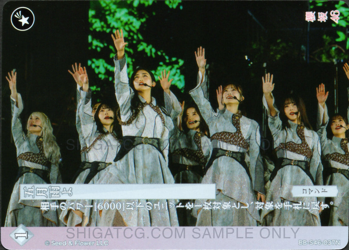 櫻坂46×ビルディバイド -ブライト- Trading Card Game BB-S46 N Cards
