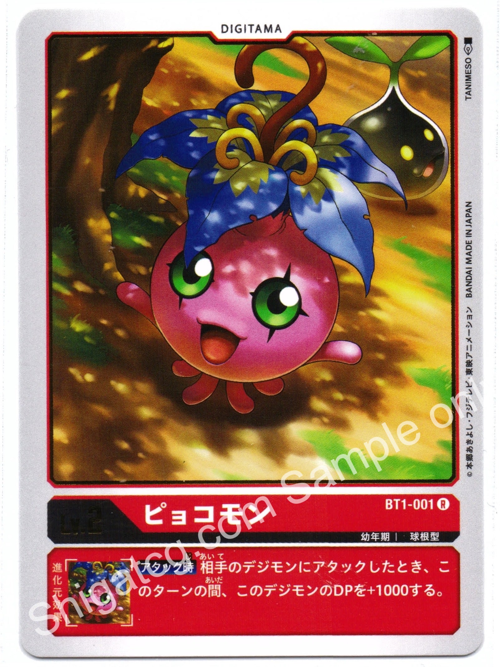 Digimon TCG (數碼暴龍TCG) 數碼寶貝卡牌遊戲 BT01-001 R ピョコモン